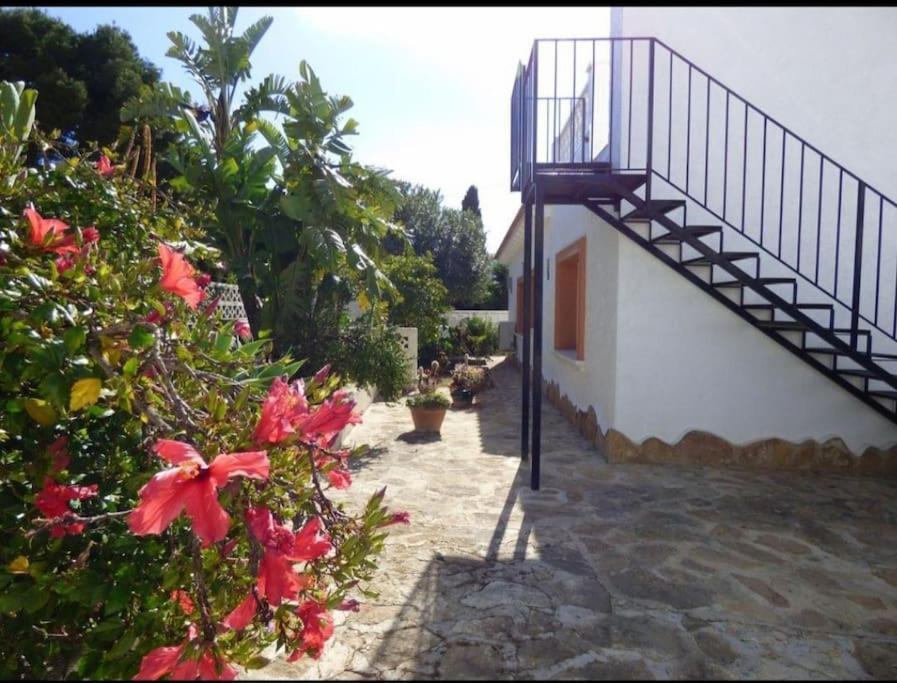 Villa Lumen كاليبي المظهر الخارجي الصورة